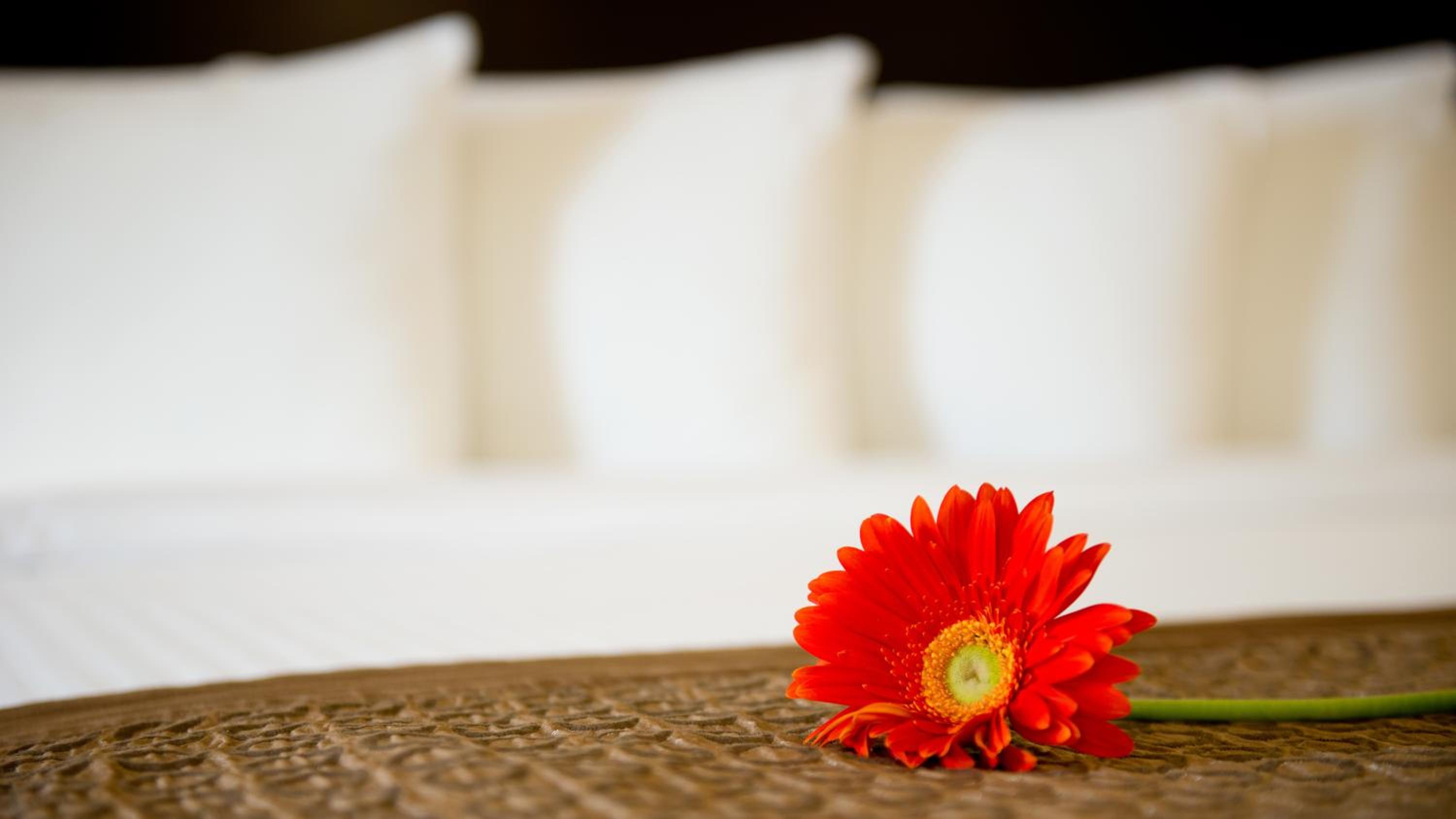 Park Inn by Radisson Toronto-Markham, Billede 47