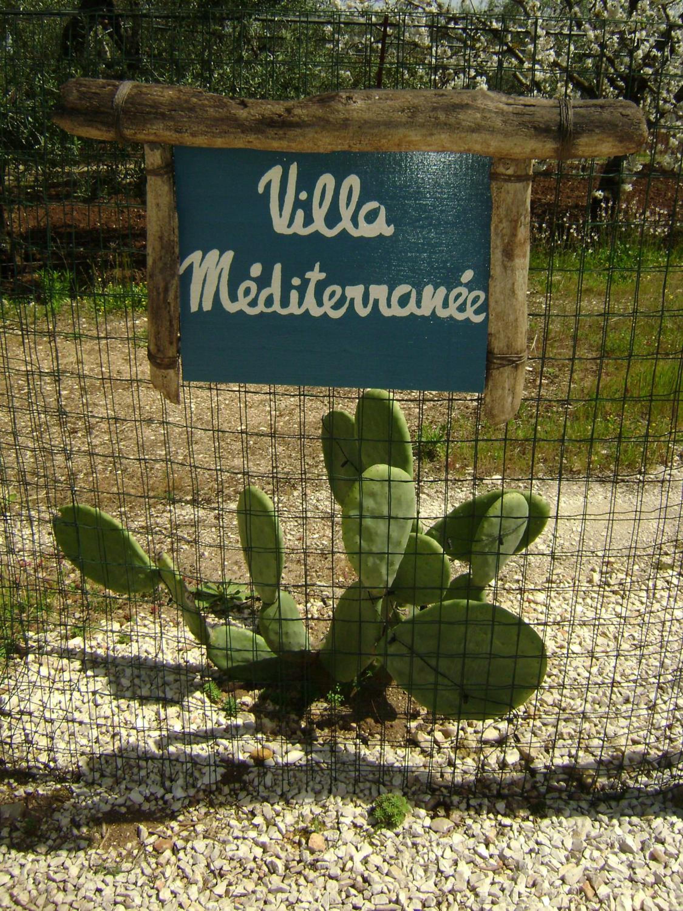 B&B Villa Mediterranea with private parking