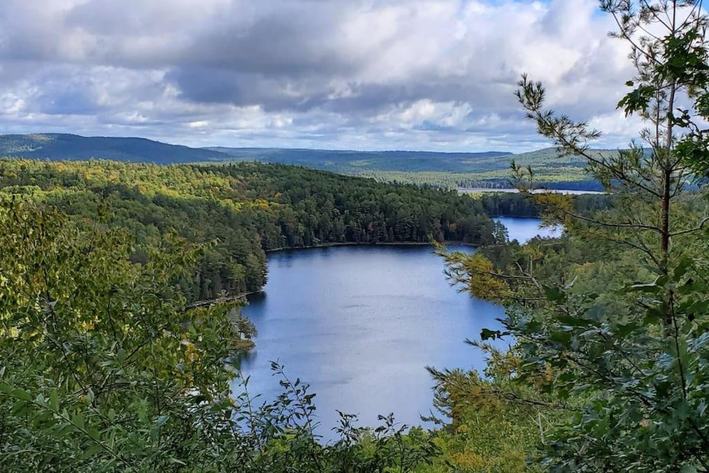 Private Cottage with Huge Private Dog Park!