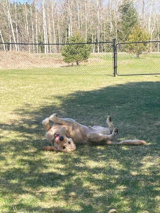 Private Cottage with Huge Private Dog Park!