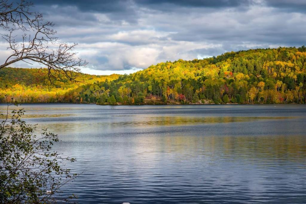 Private Cottage with Huge Private Dog Park!
