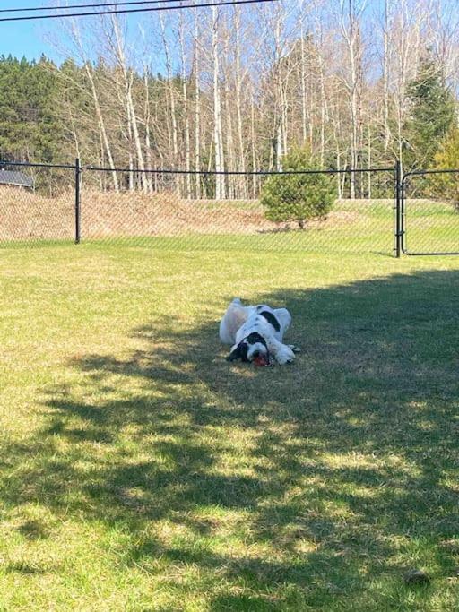 Private Cottage with Huge Private Dog Park!