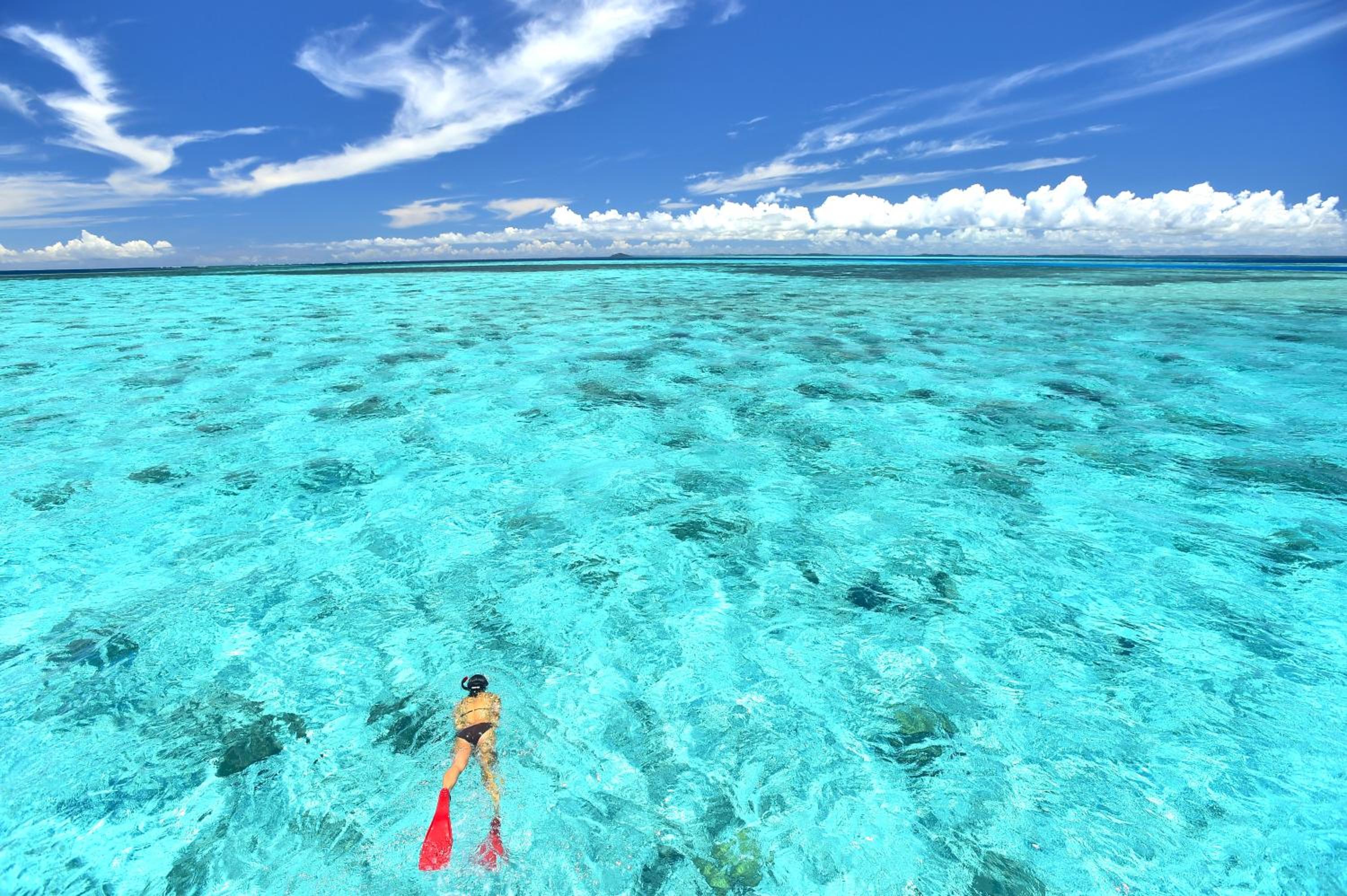 Allamanda Imgya Coral Village