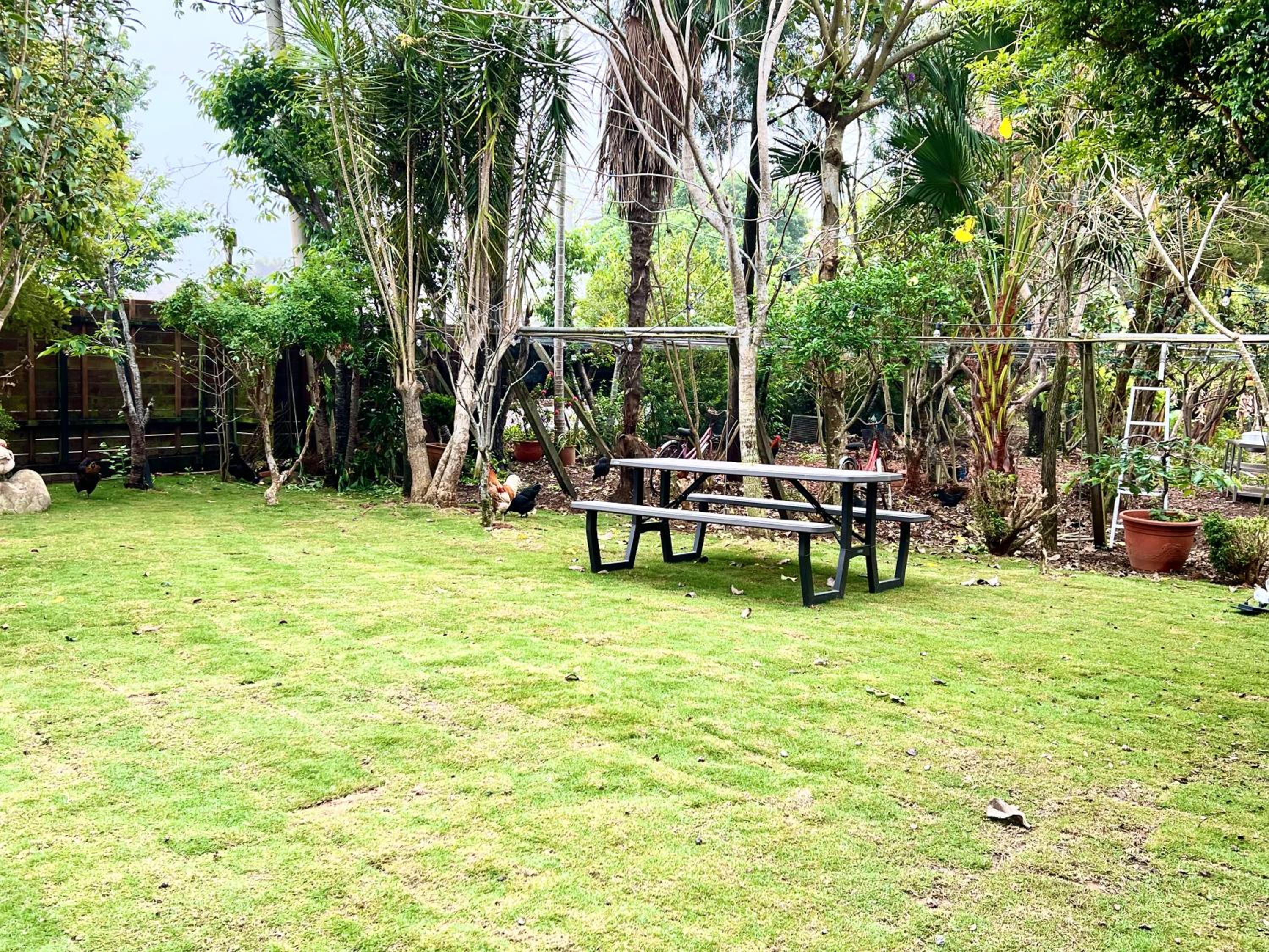 Xinshe Xiao Shu time homestay view 2