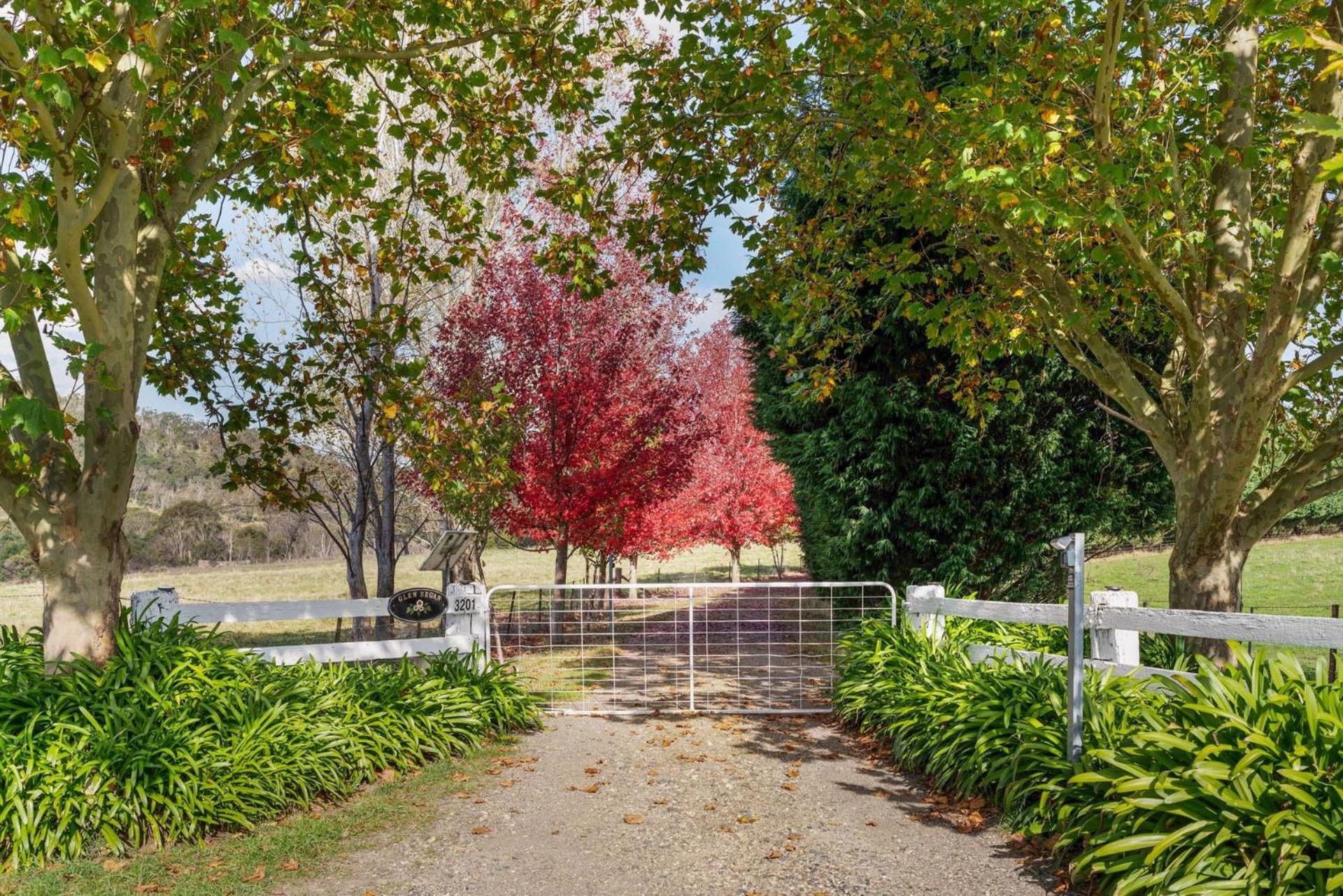 Glen Regan Berrima