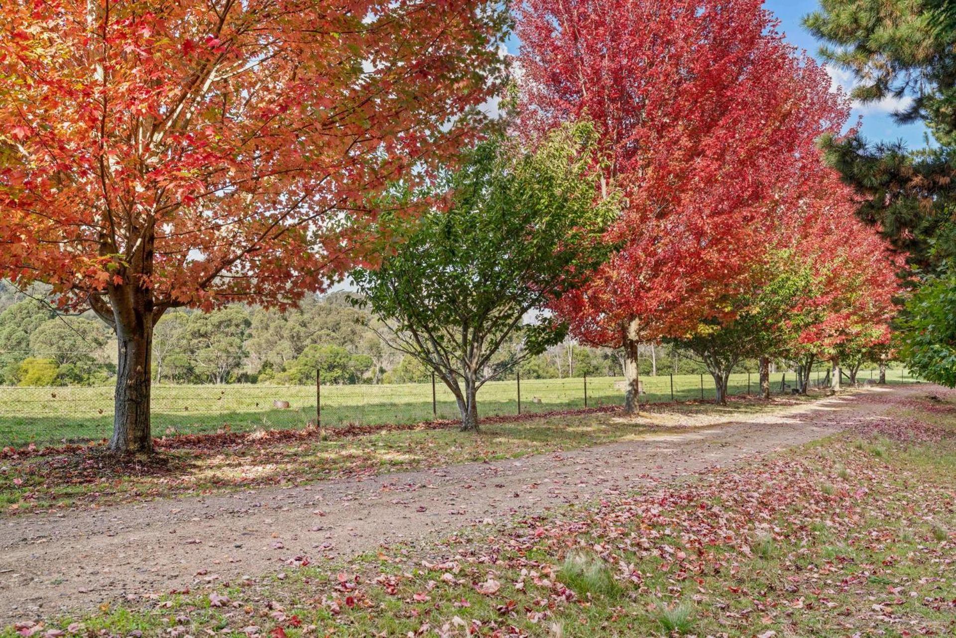 Glen Regan Berrima