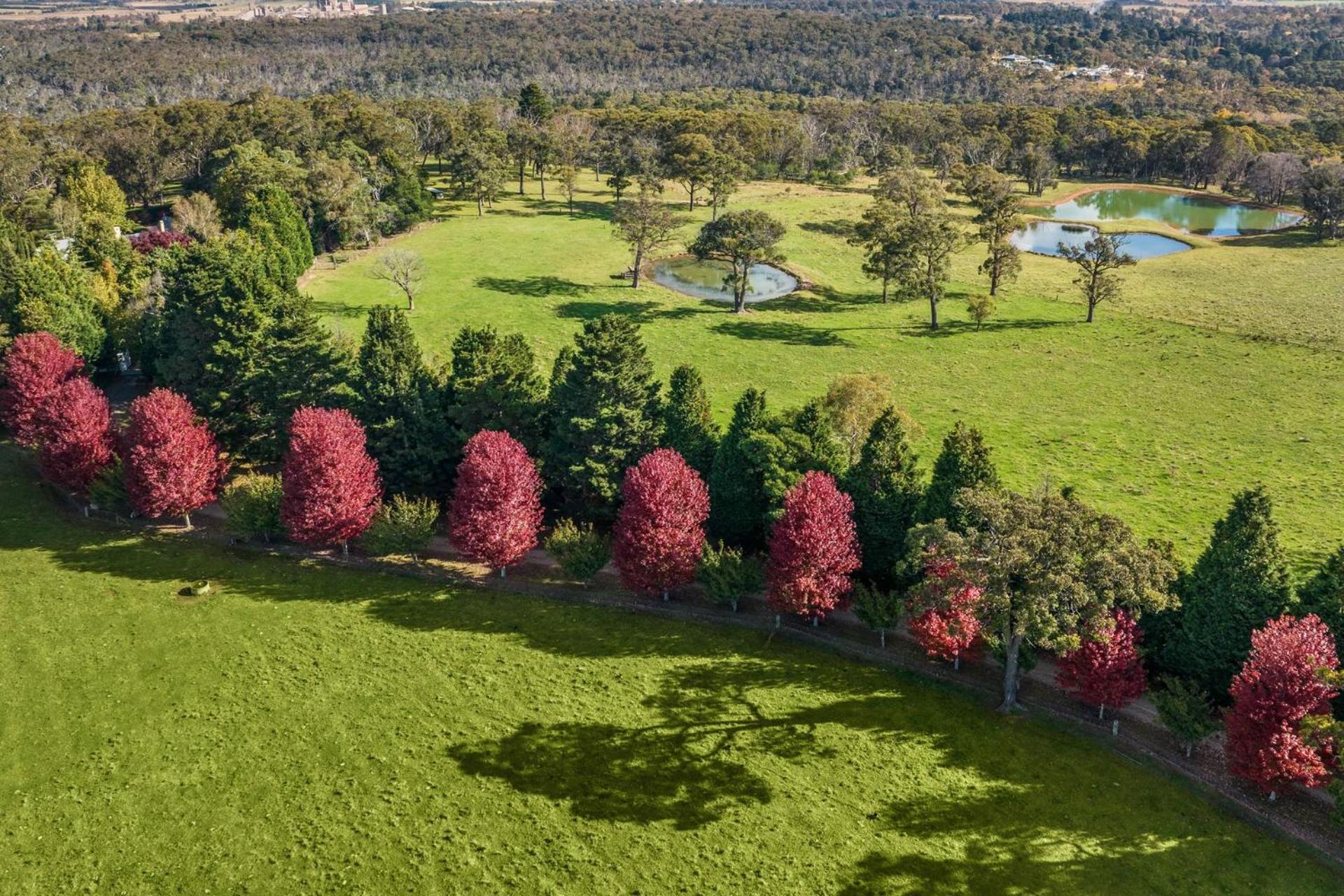 Glen Regan Berrima