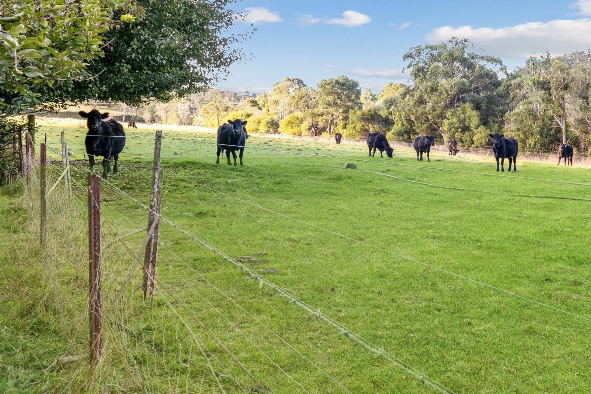 Glen Regan Berrima