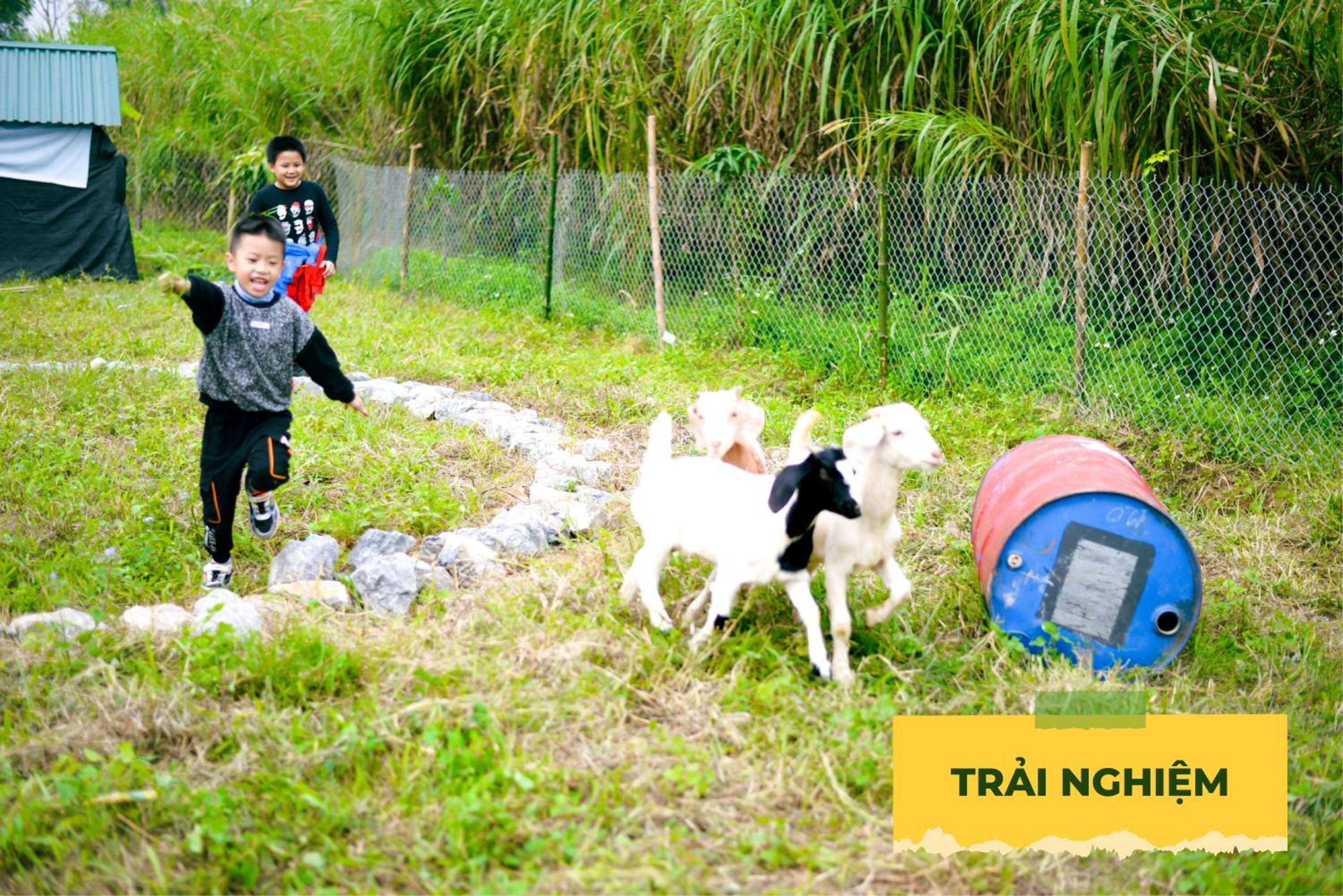 Wonder Farm Ba Vì - Edu & Retreat