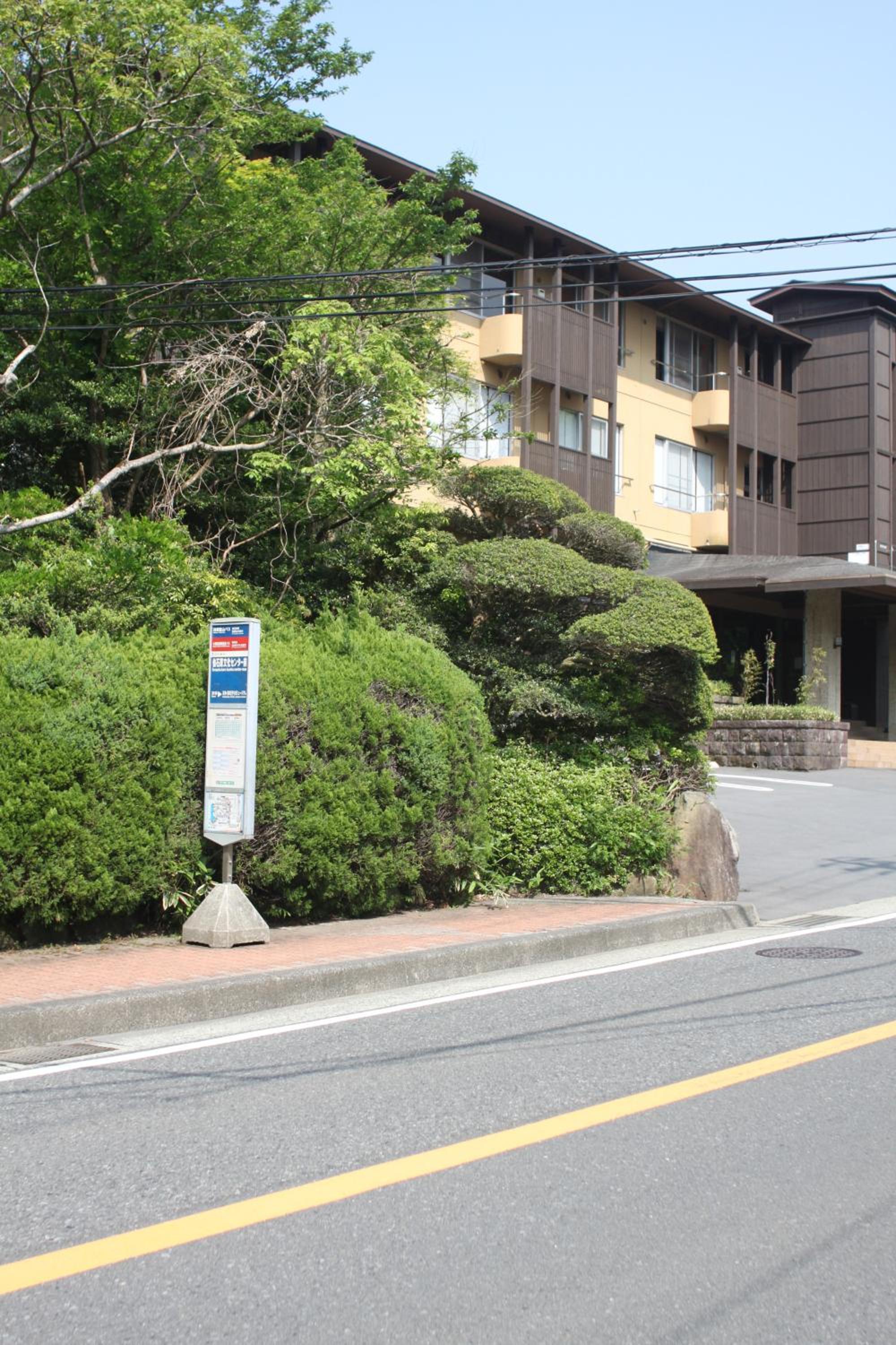 Mount View Hakone