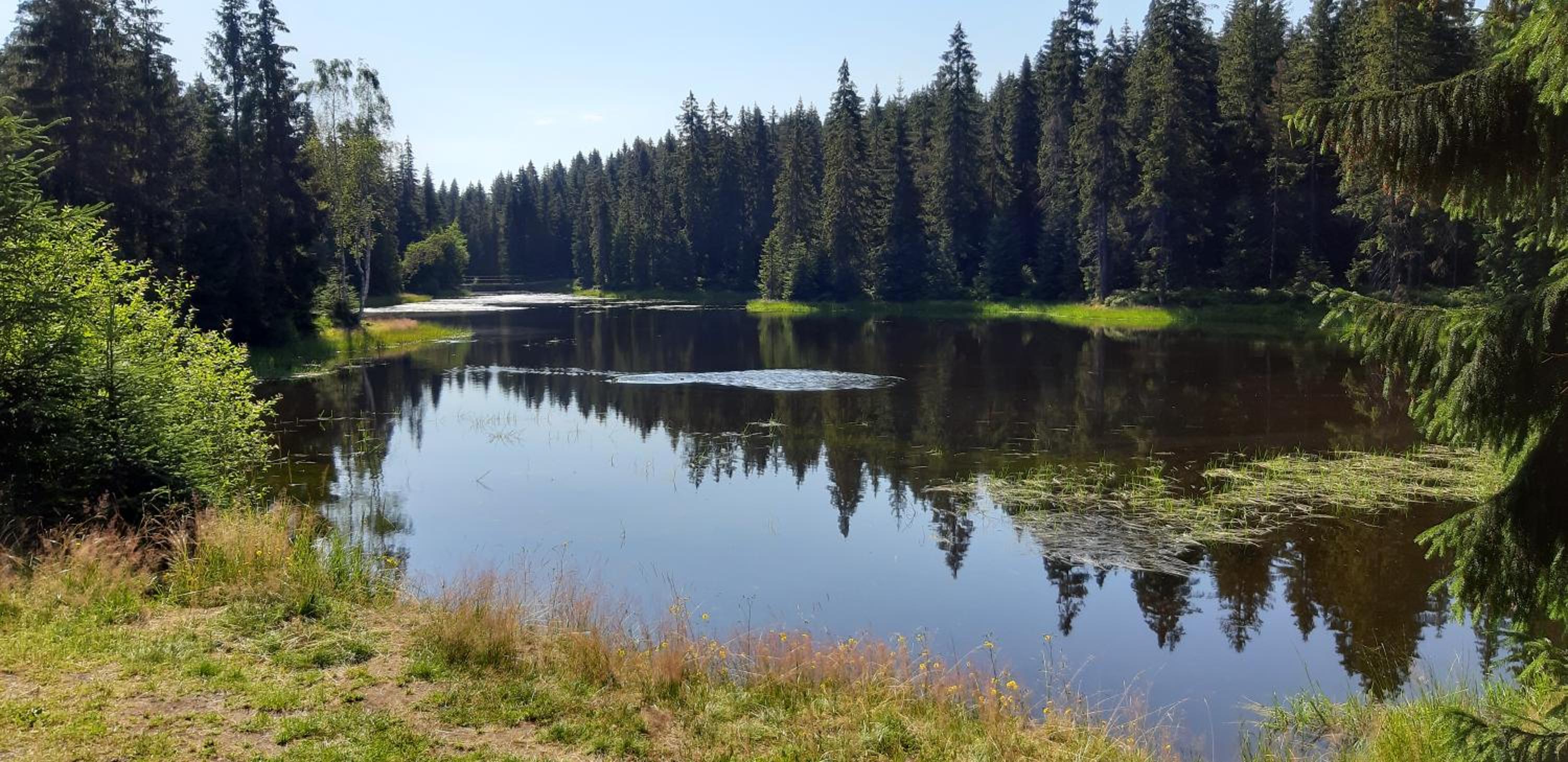 Penzion Jizerská Malina