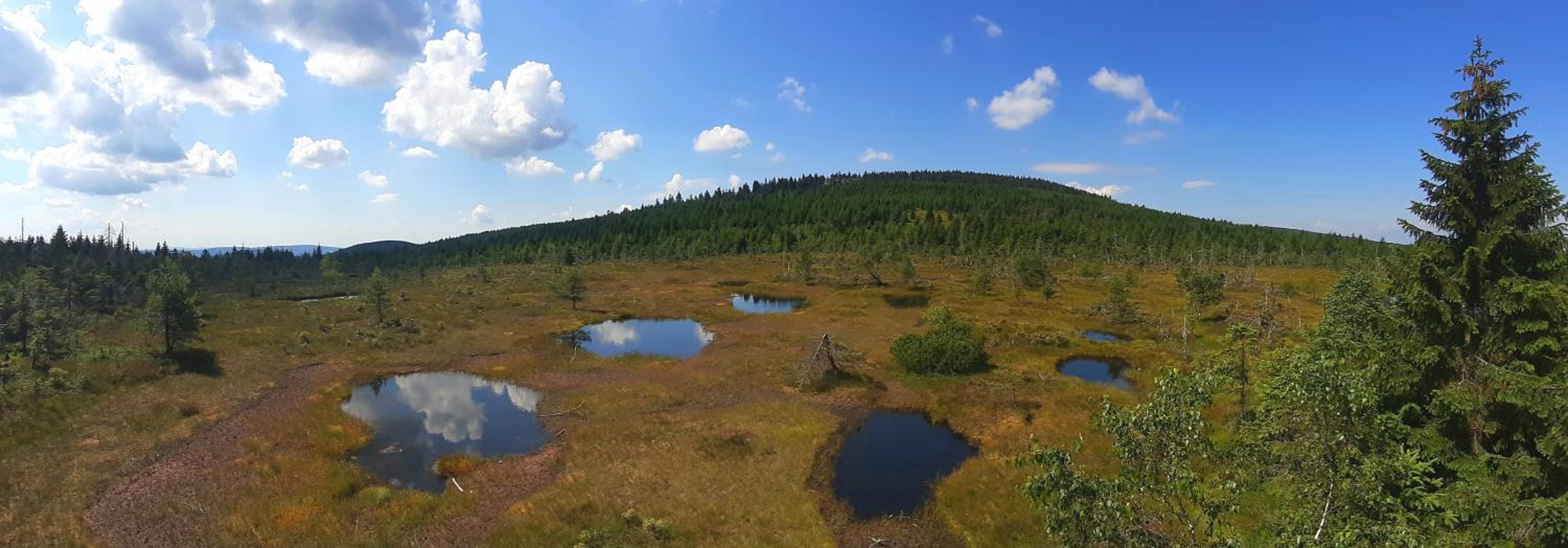 Penzion Jizerská Malina