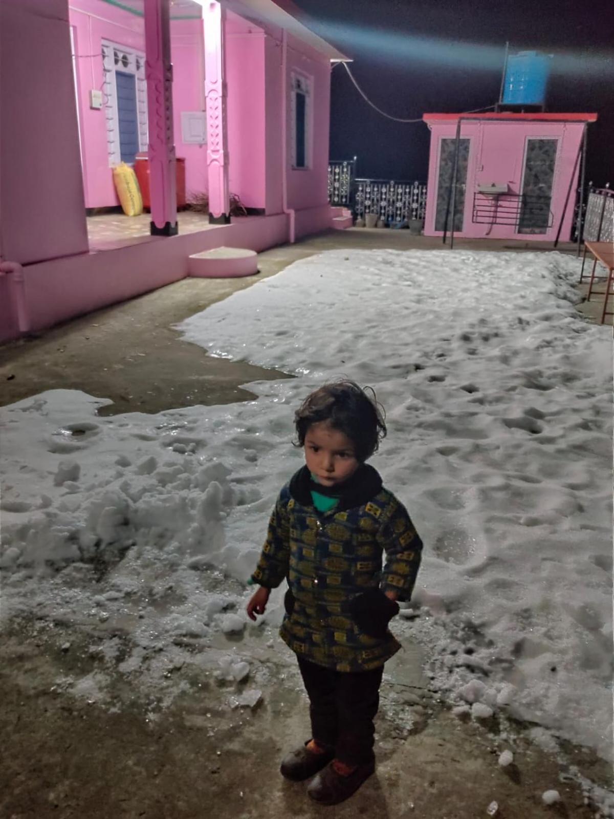 The Pinelamp Homestay Kalwah Valley view 5