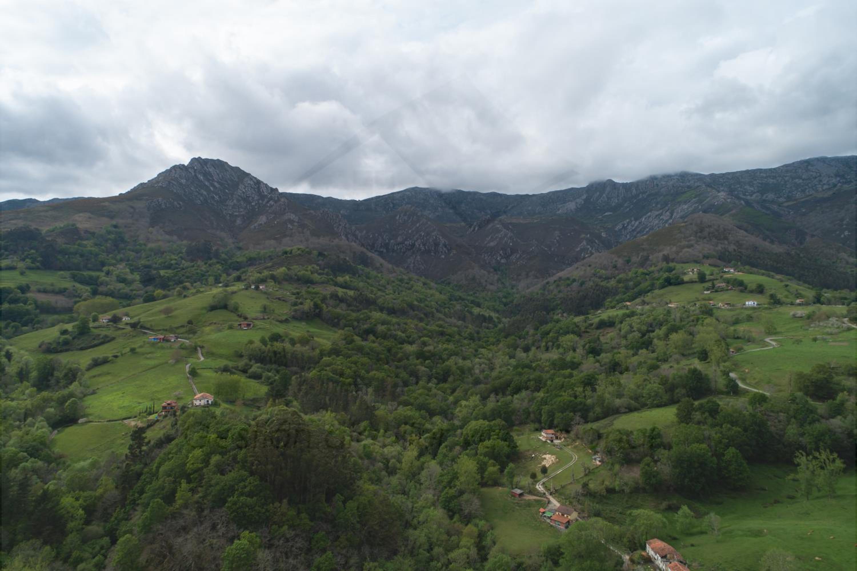 La Coqueta Del Sueve