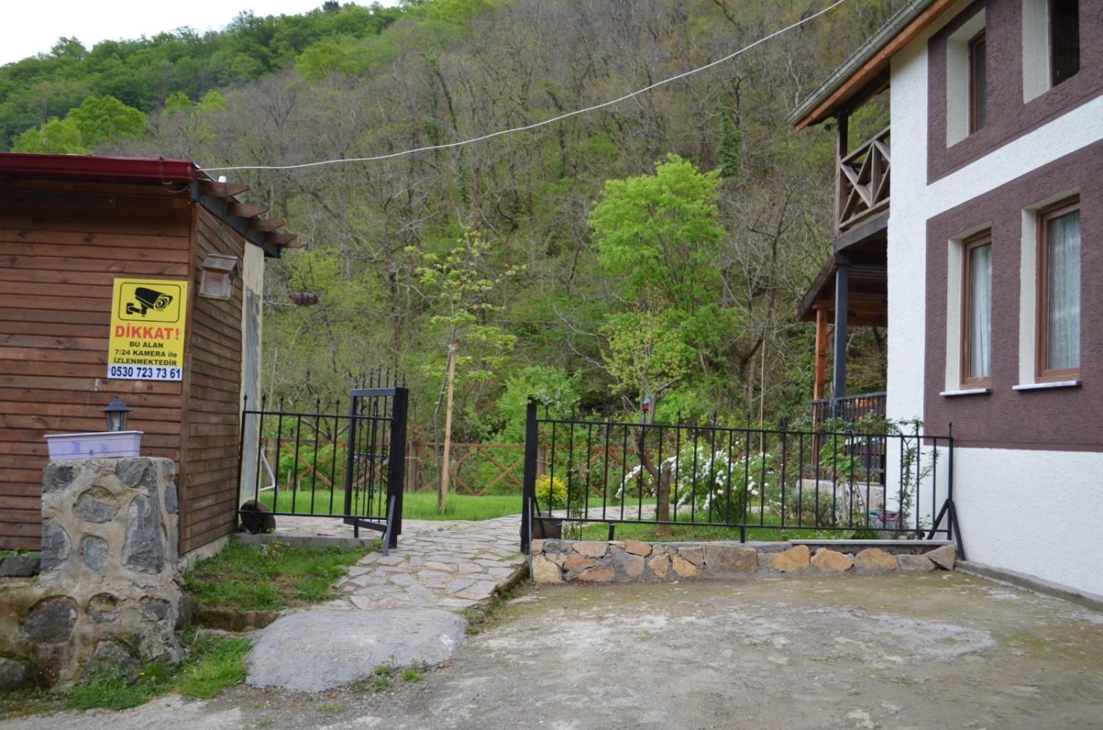 Photo 42