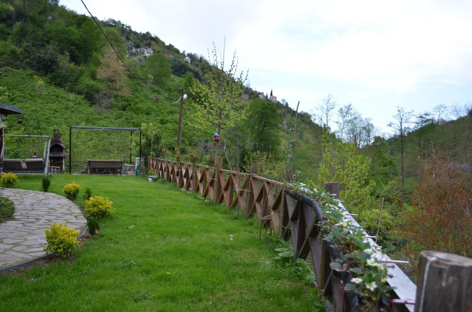 Photo 45