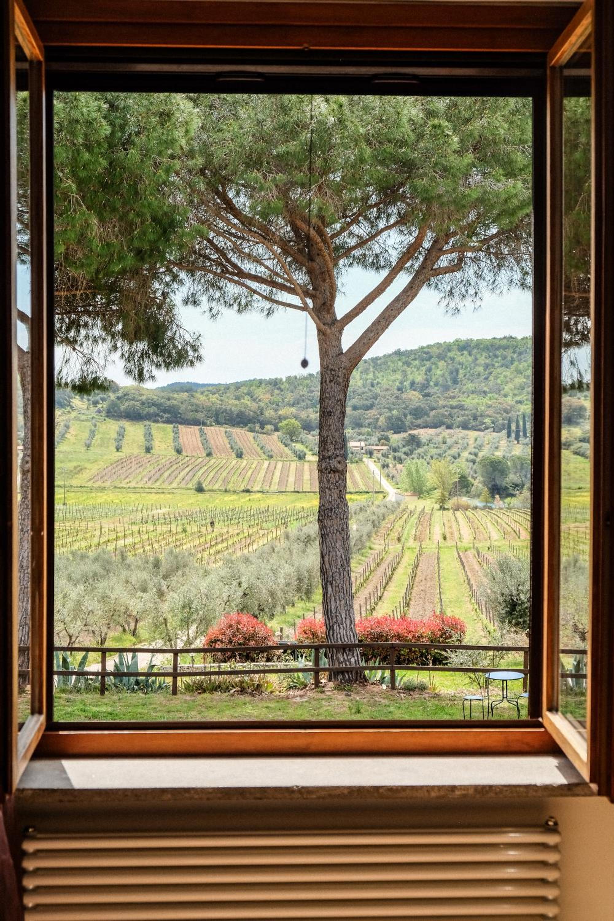 Agriturismo biologico Bulichella