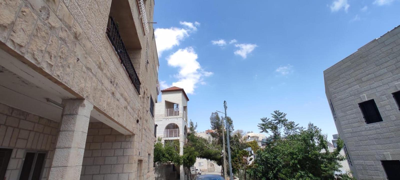 Reema's House