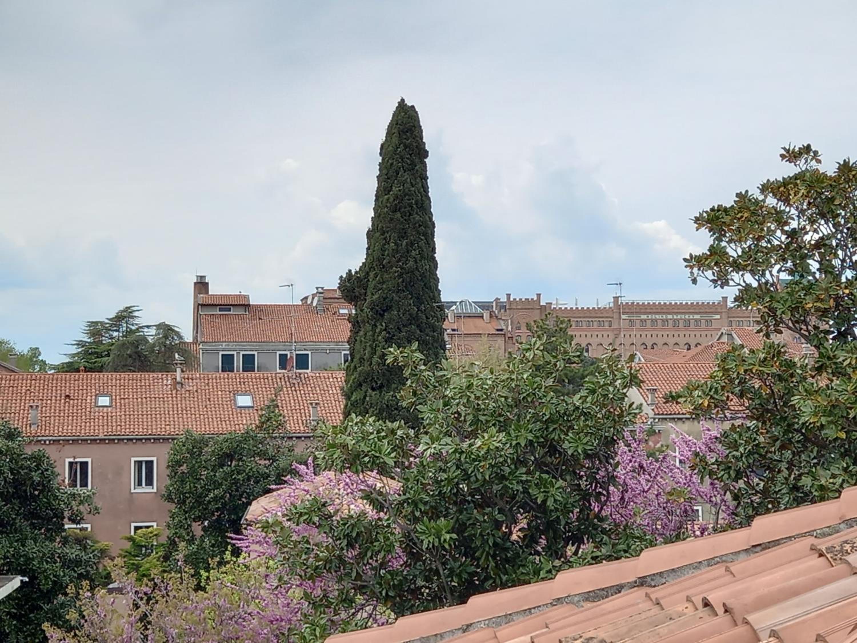 Giudecca Palanca 664
