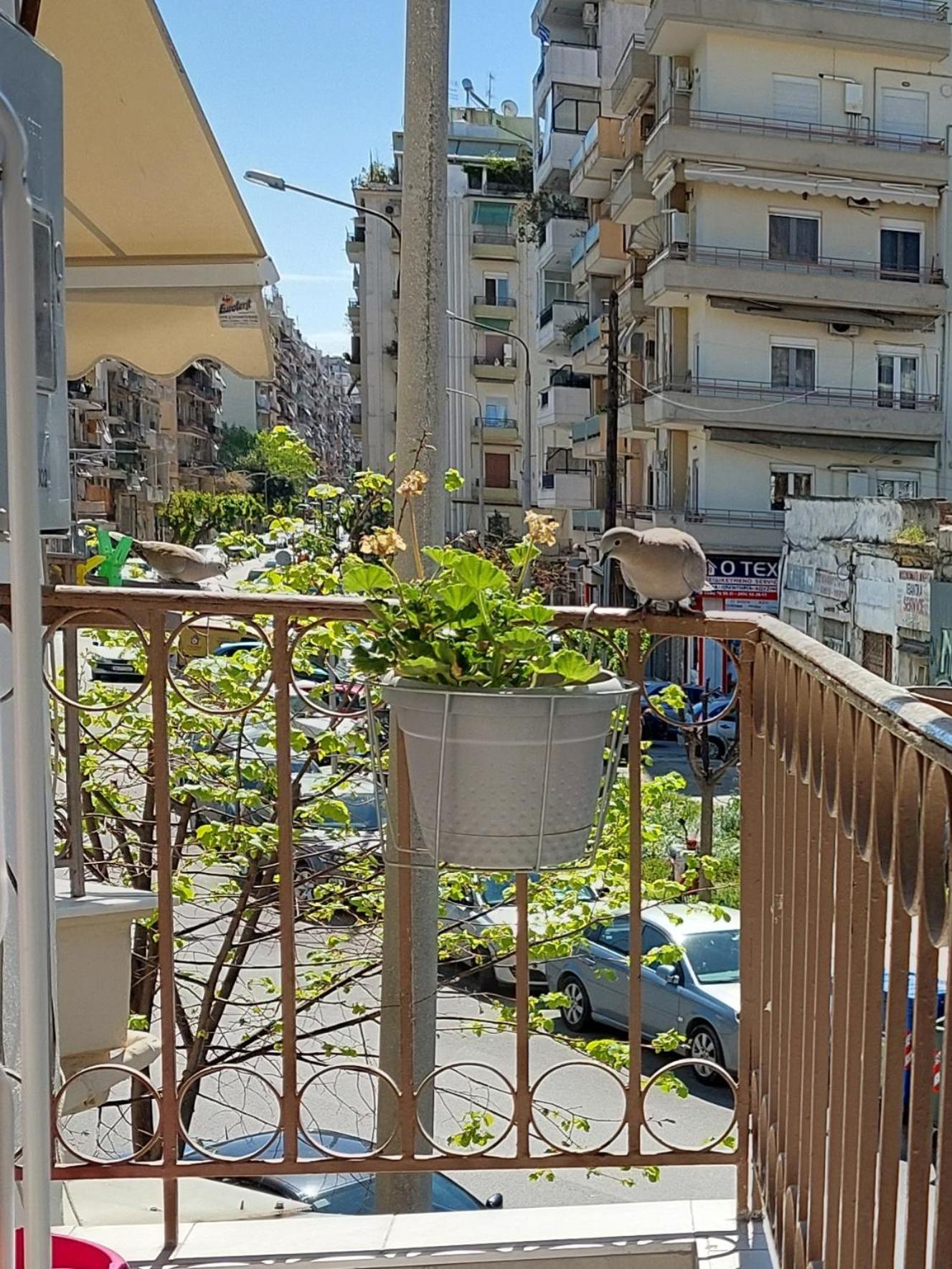 Kabana Suite Thessaloniki City Center Apartment view 4