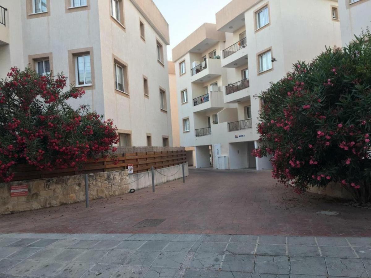 Hotel Ancient Paphos - cozy place next to the sea, marina, historical sites, buses, mall, and market - Image 1