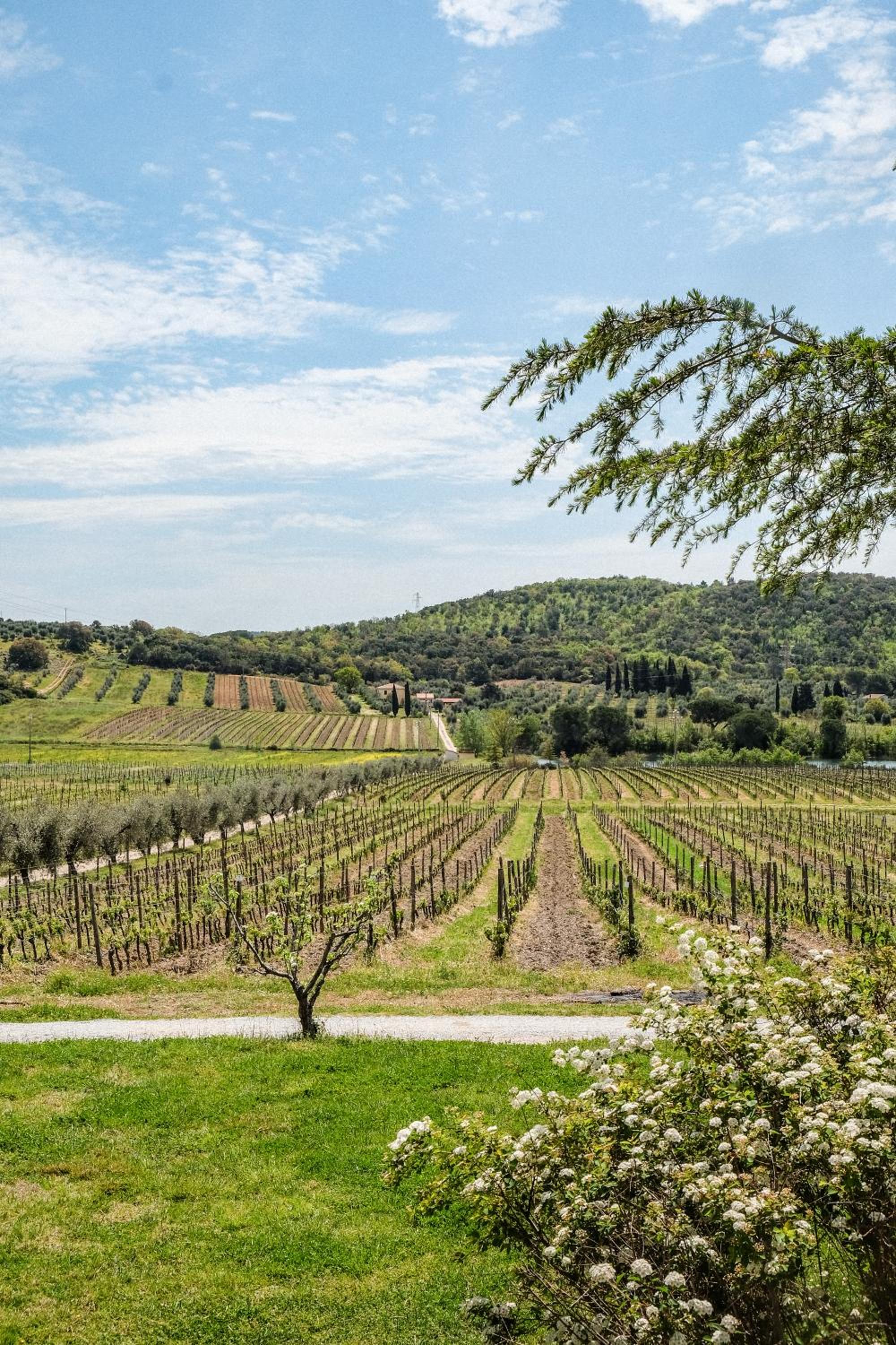 Agriturismo biologico Bulichella