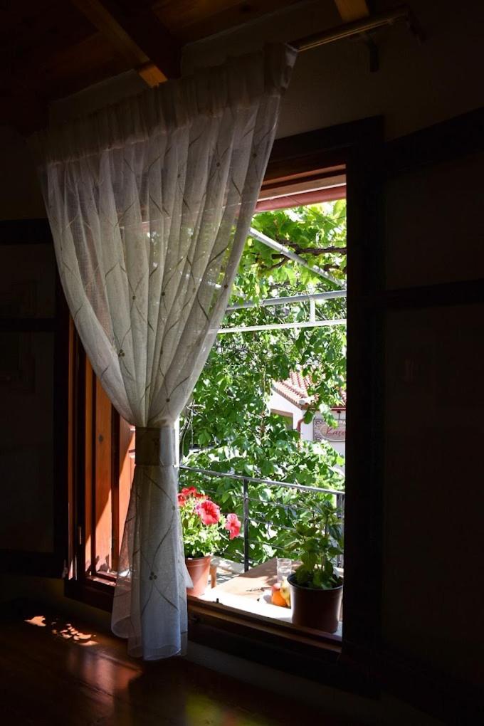 Selena Guest House view 4
