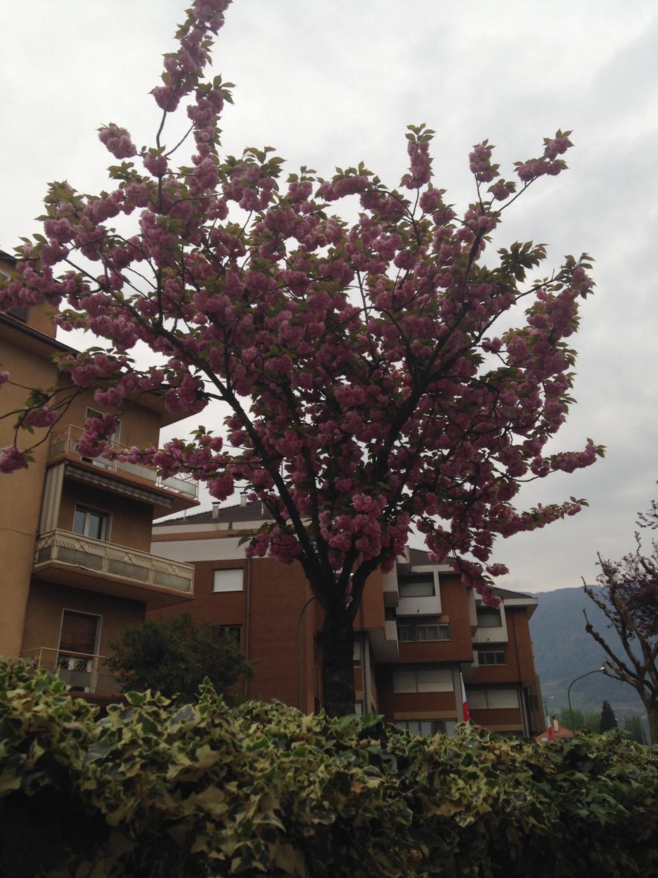 Garni Villa Betty