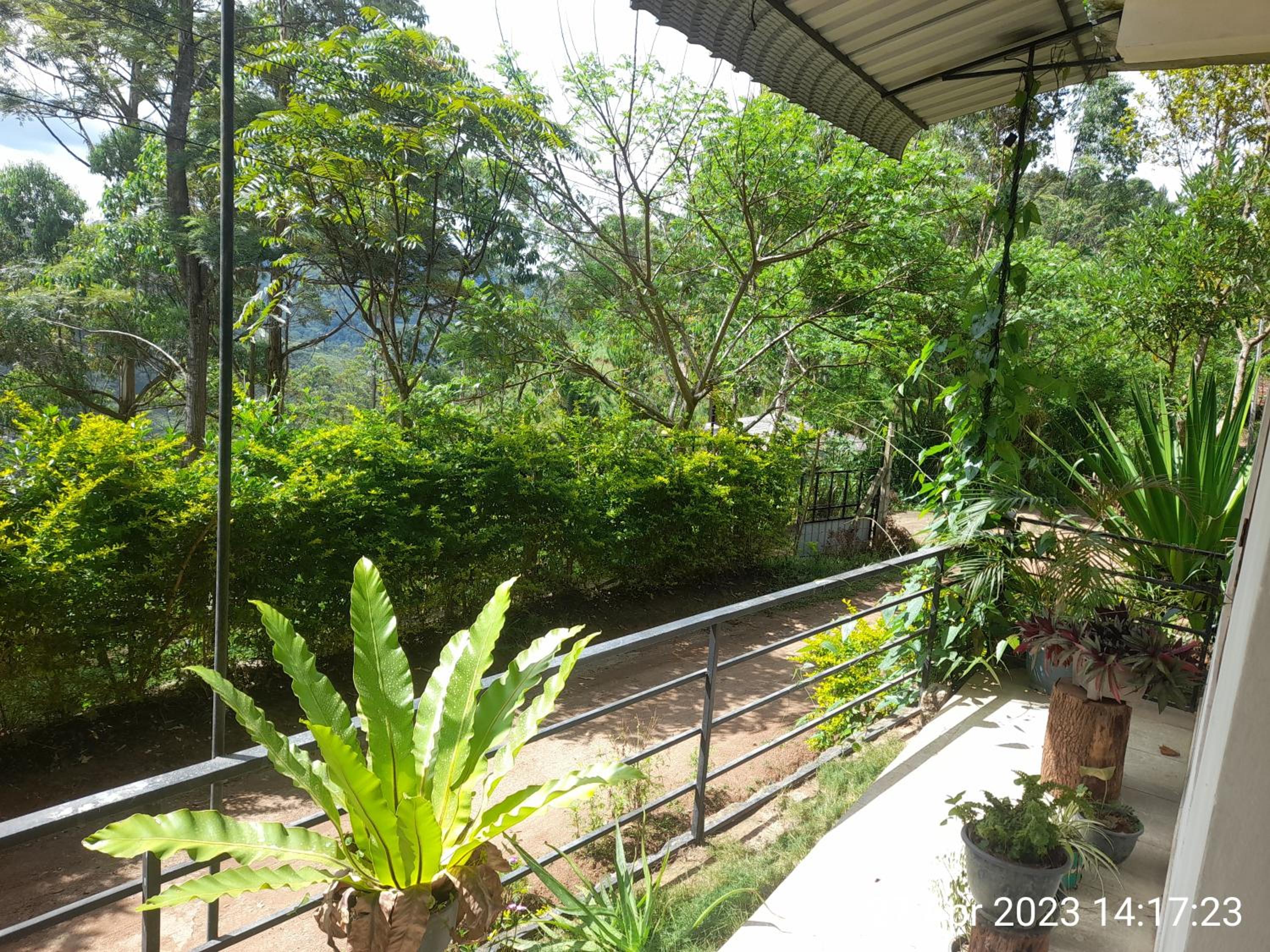 White Arcadia cottage view 5