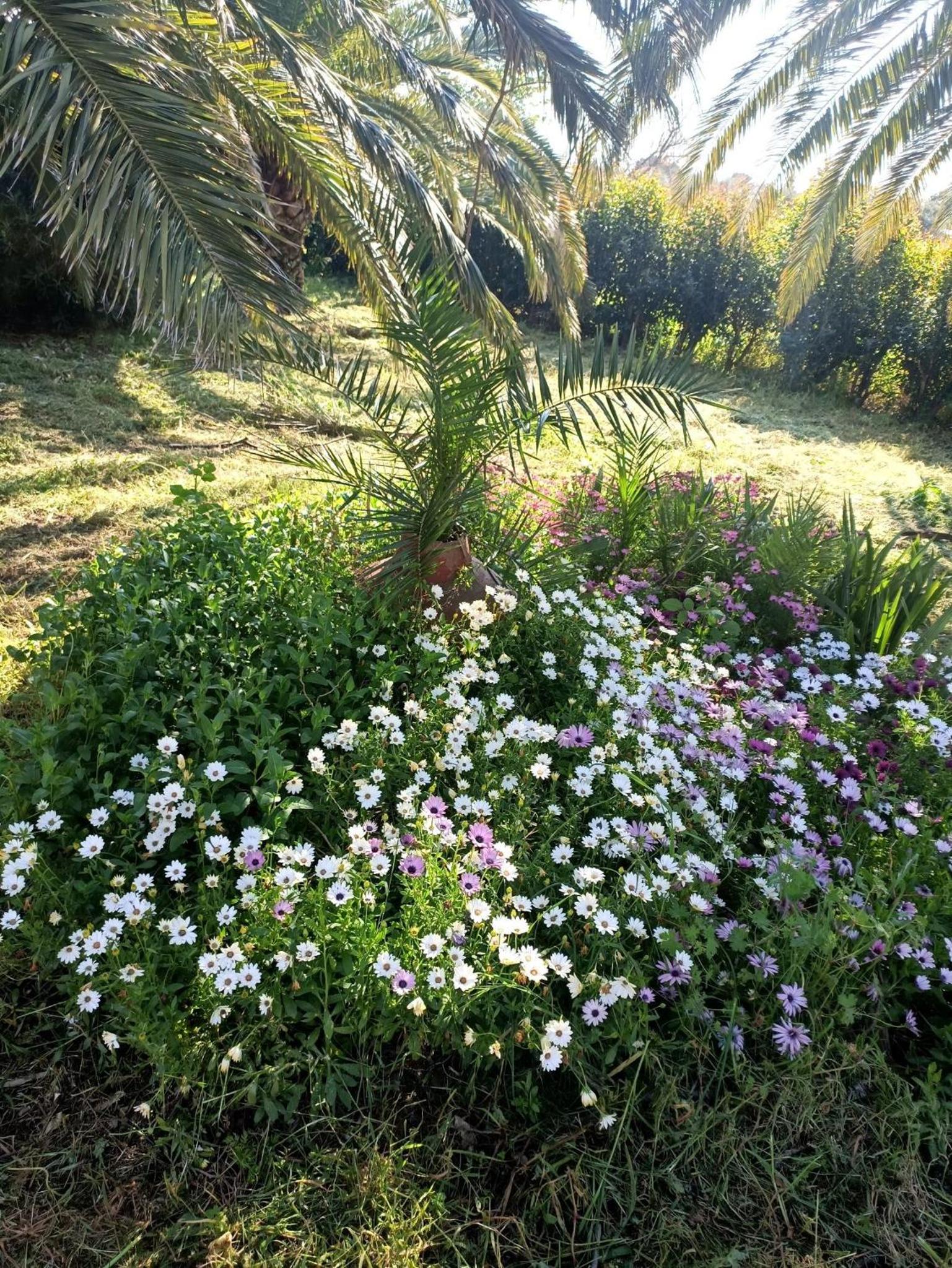Bird Watching Oasis Skala Kallonis