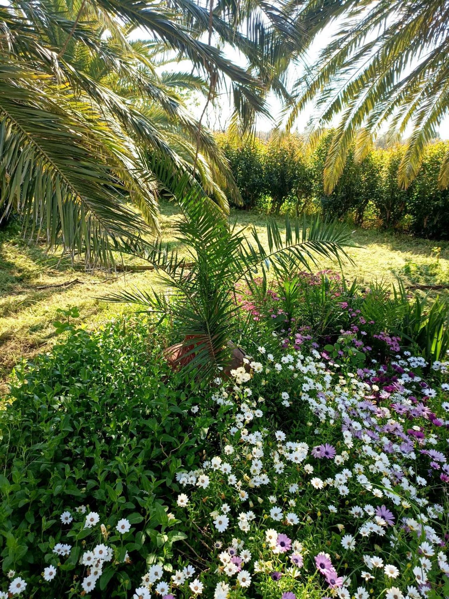 Bird Watching Oasis Skala Kallonis