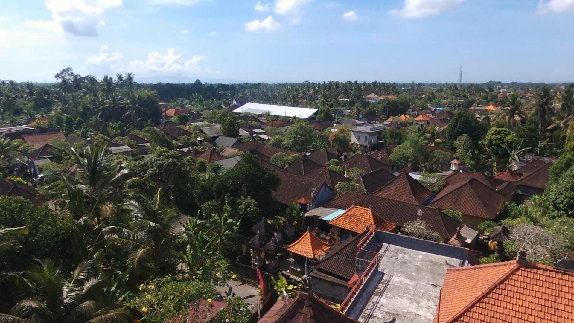 Photo 37