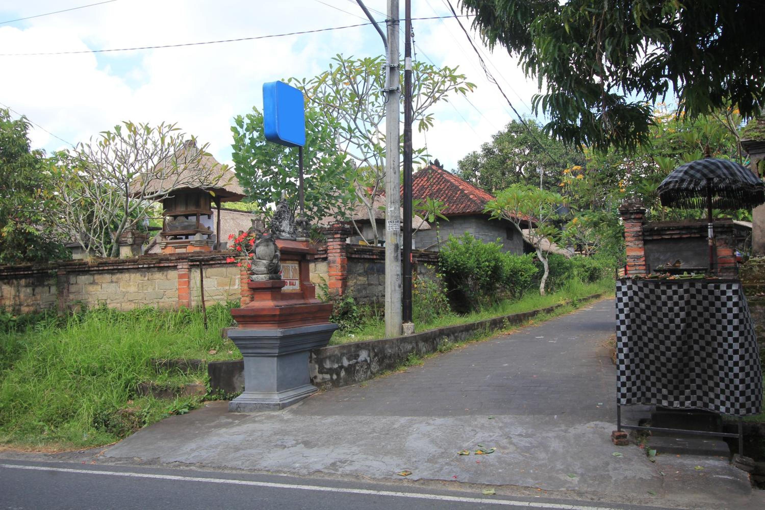 Photo 44