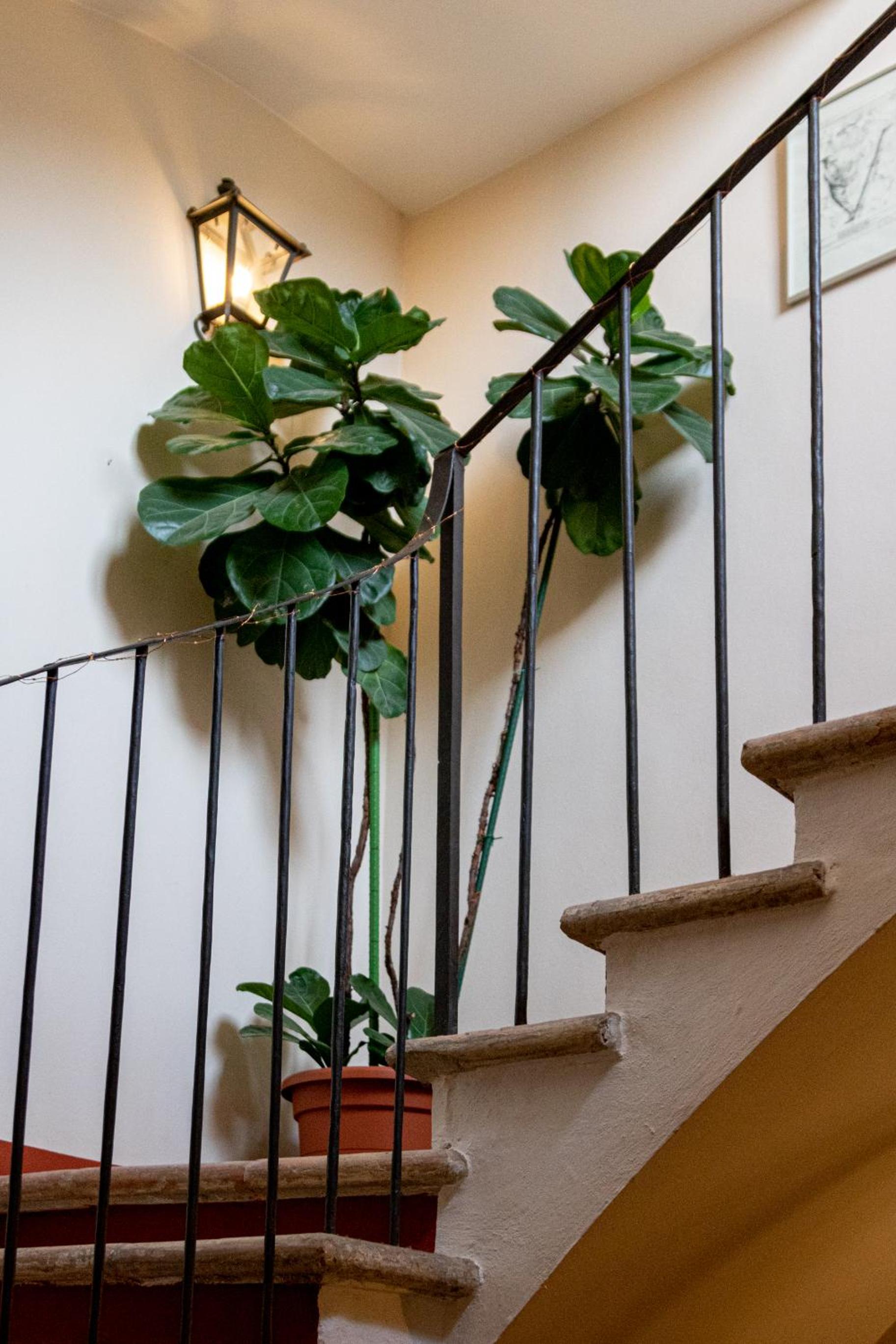 Casa Isolani Guest House Santo Stefano