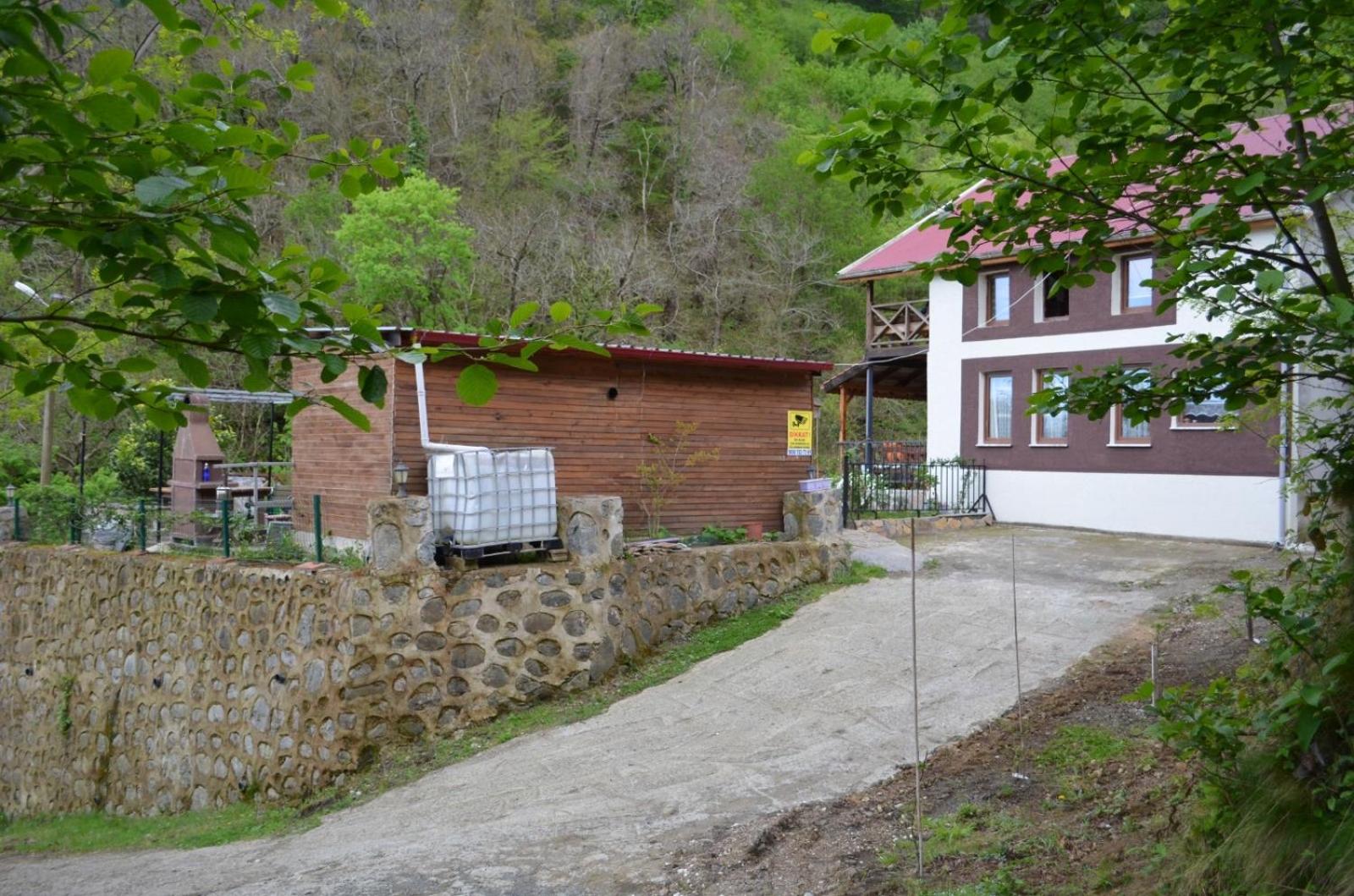 Photo 43