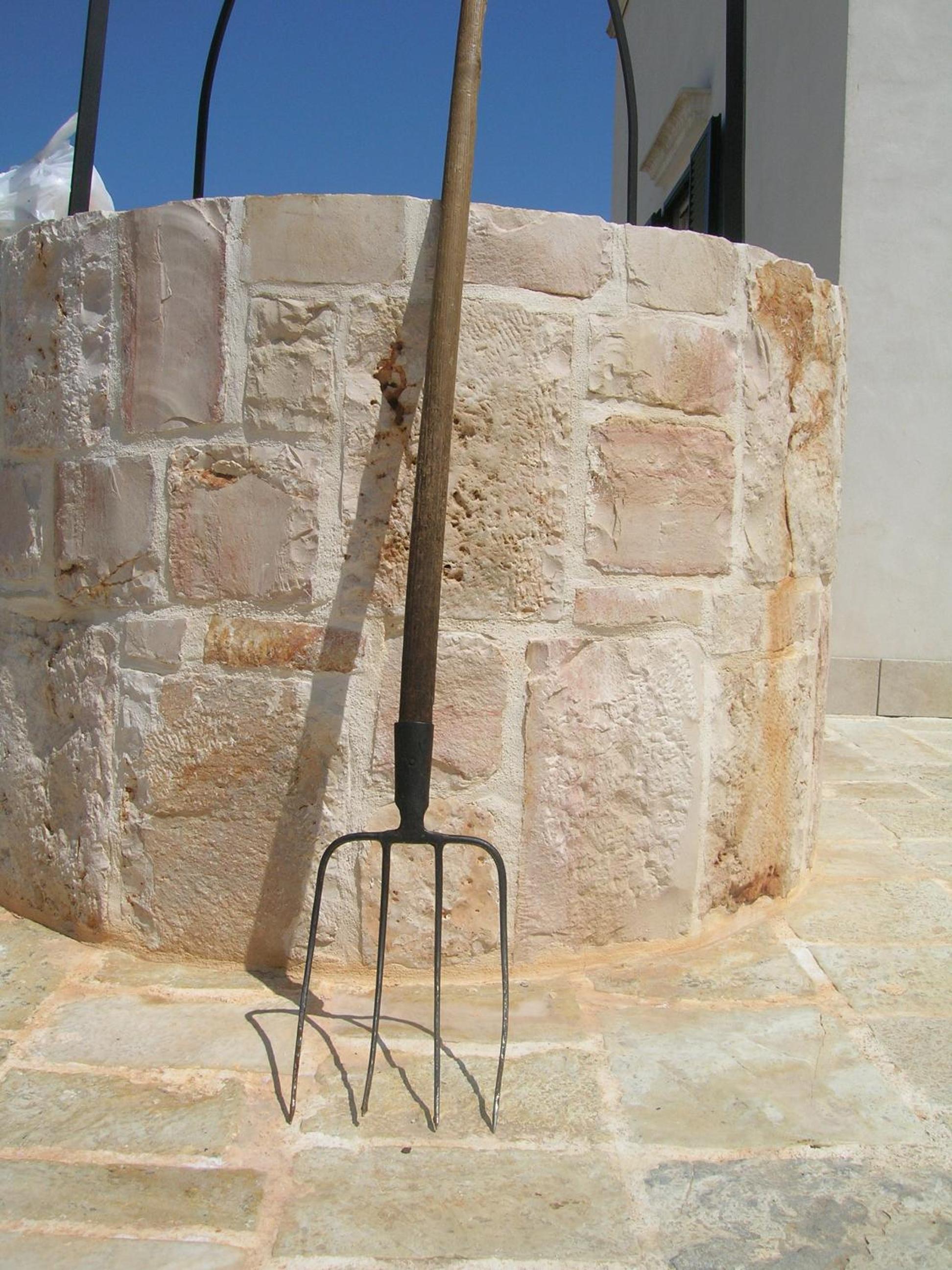 Photo 28