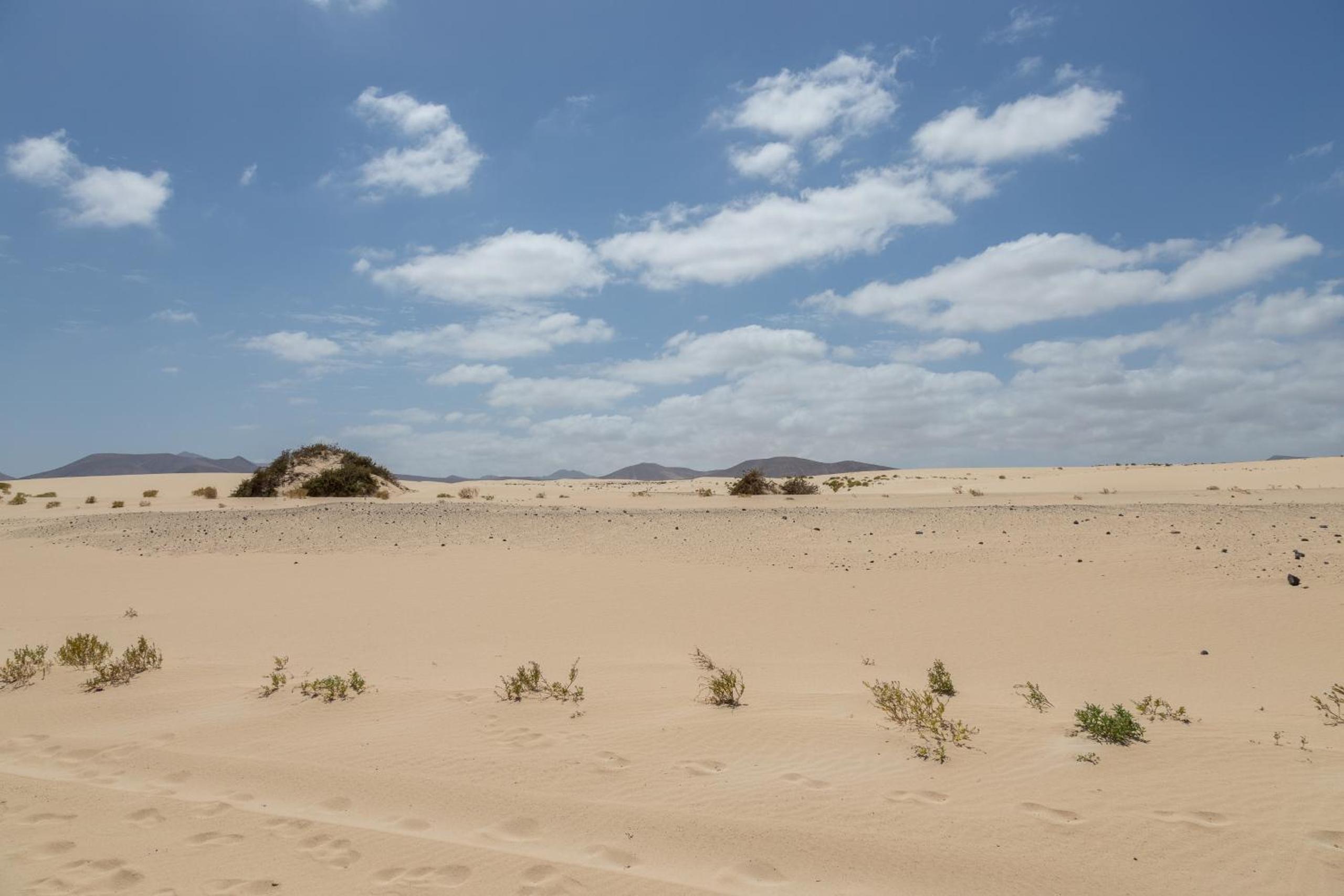 Lightbooking Paradise Home Corralejo