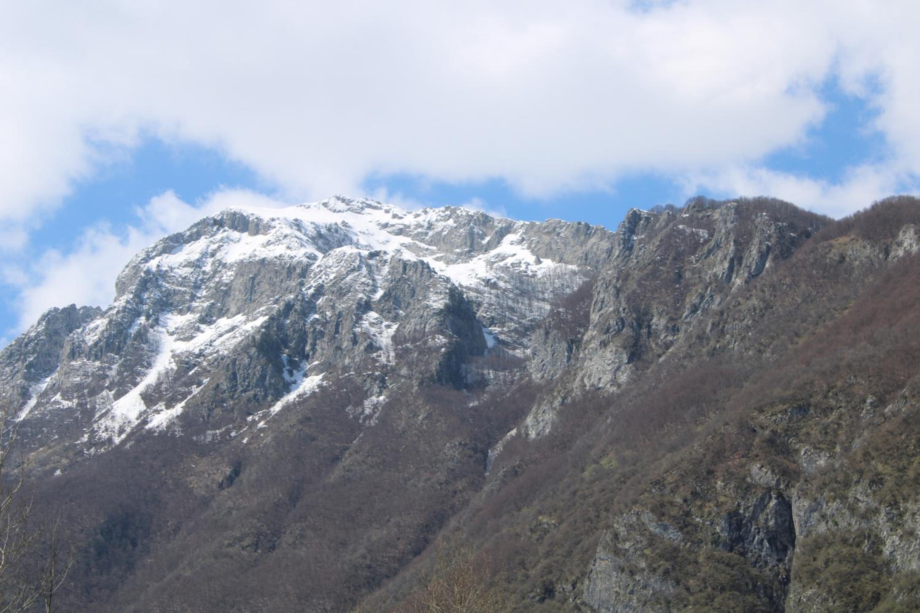 Mountain View Resort