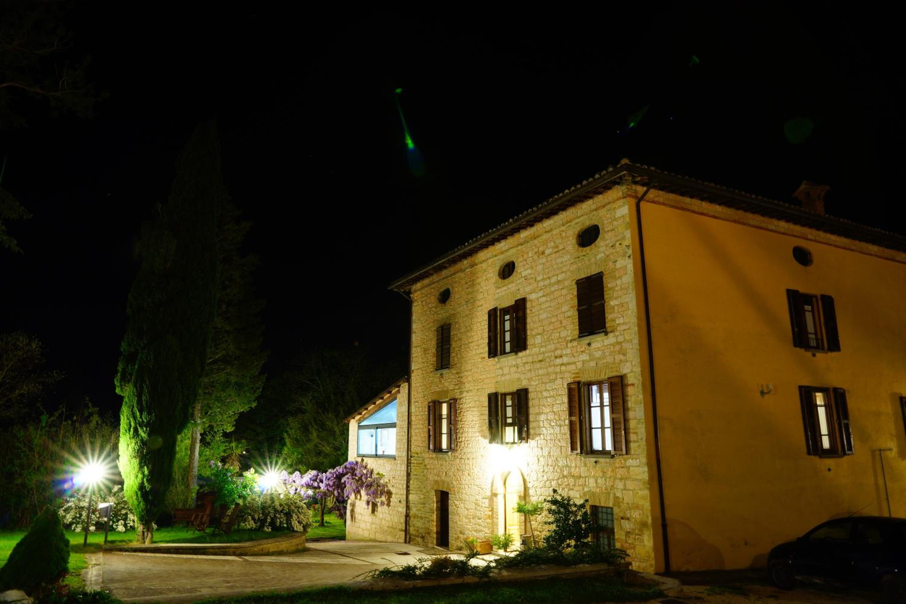 Photo 46
