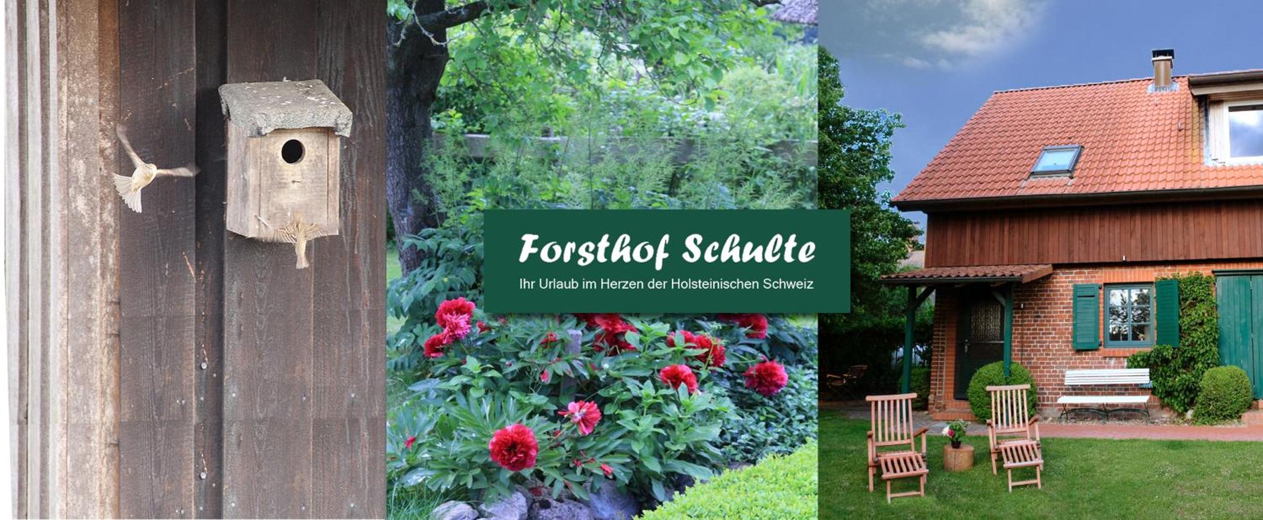 Forsthof Schulte