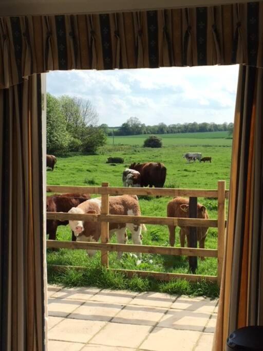Bainvalley Cottages - The Shamba, sleeps 4 view 5