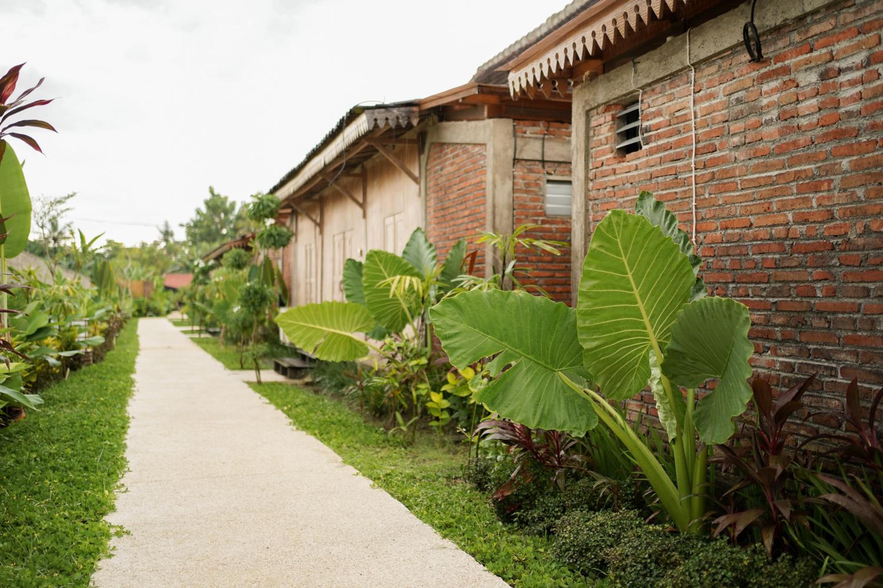 Ijen Estate Resort And Villa view 4