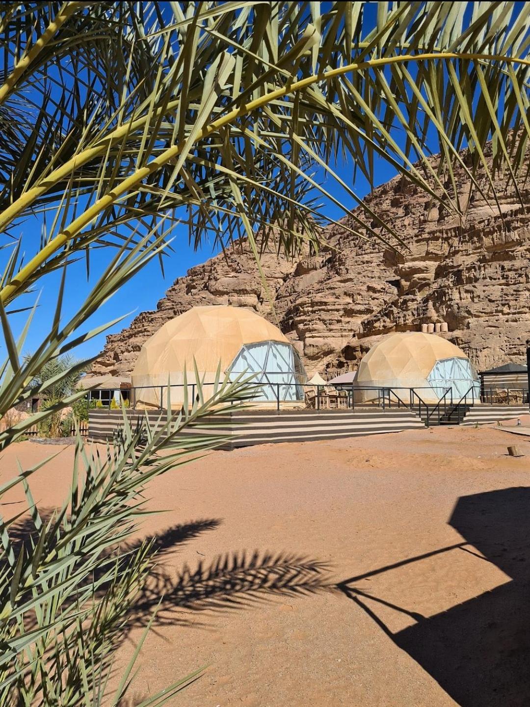 Hasan Zawaideh Camp
