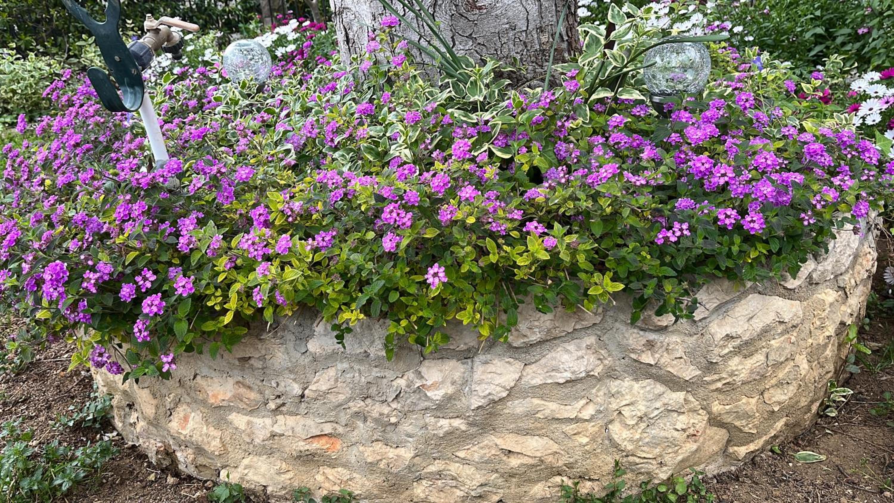 Apartmani Ursić view 5