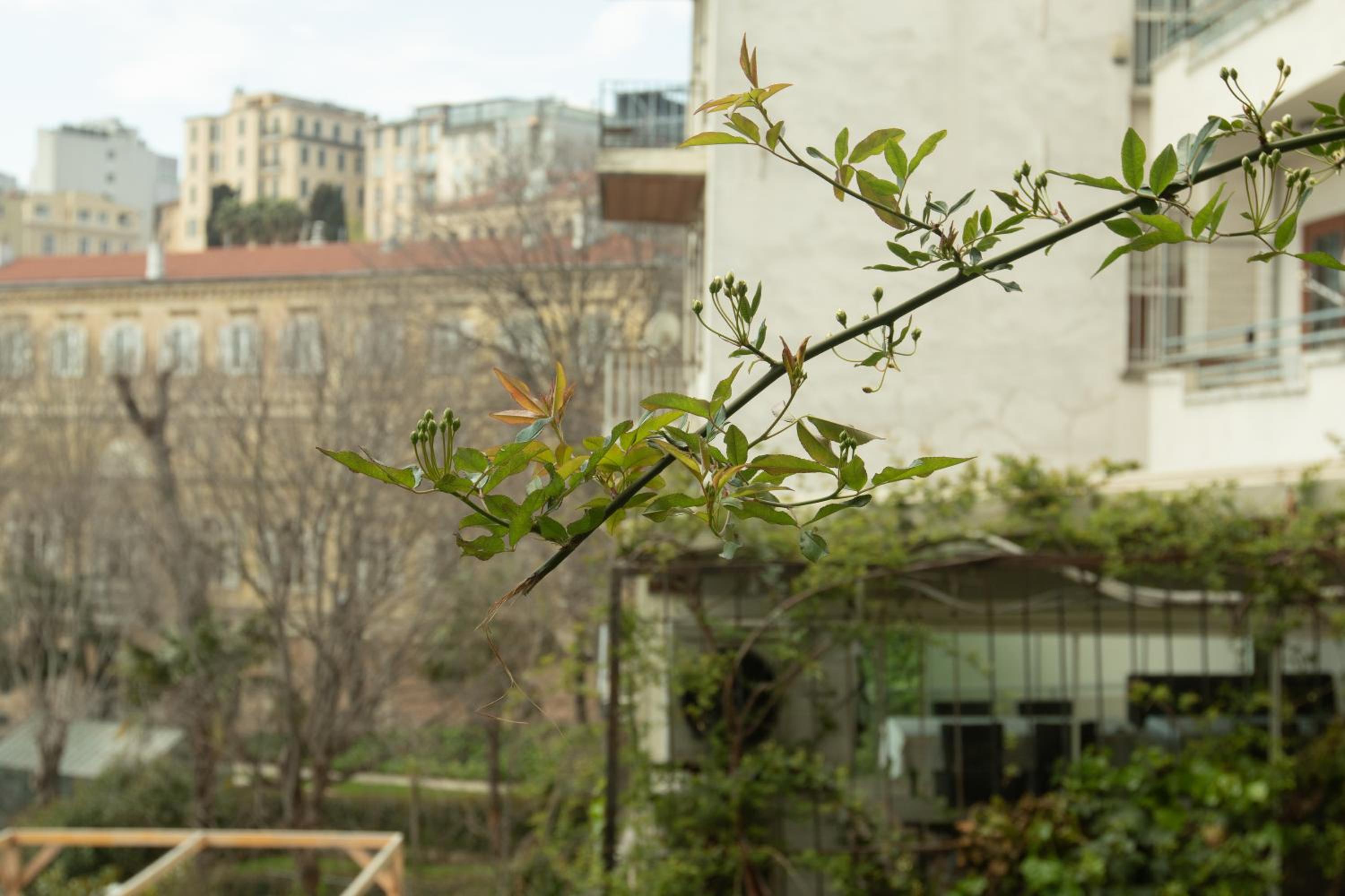 Louis Rooms - Image 34