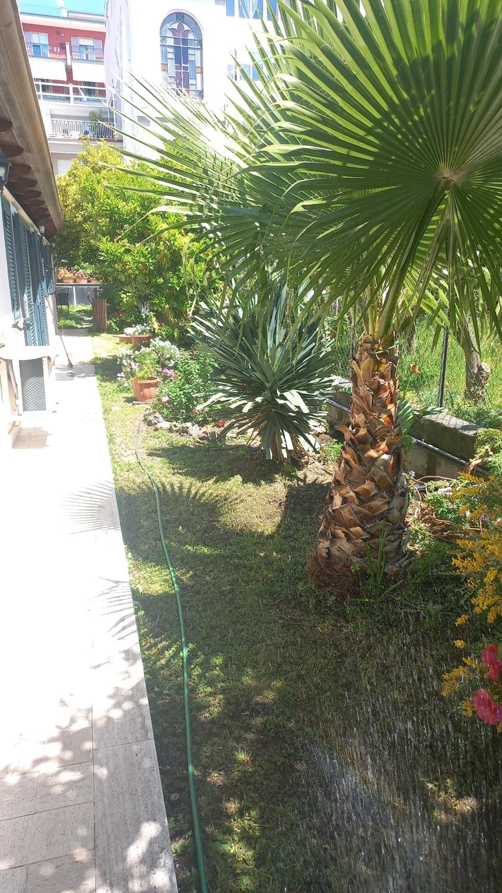 Villino Michel view 3