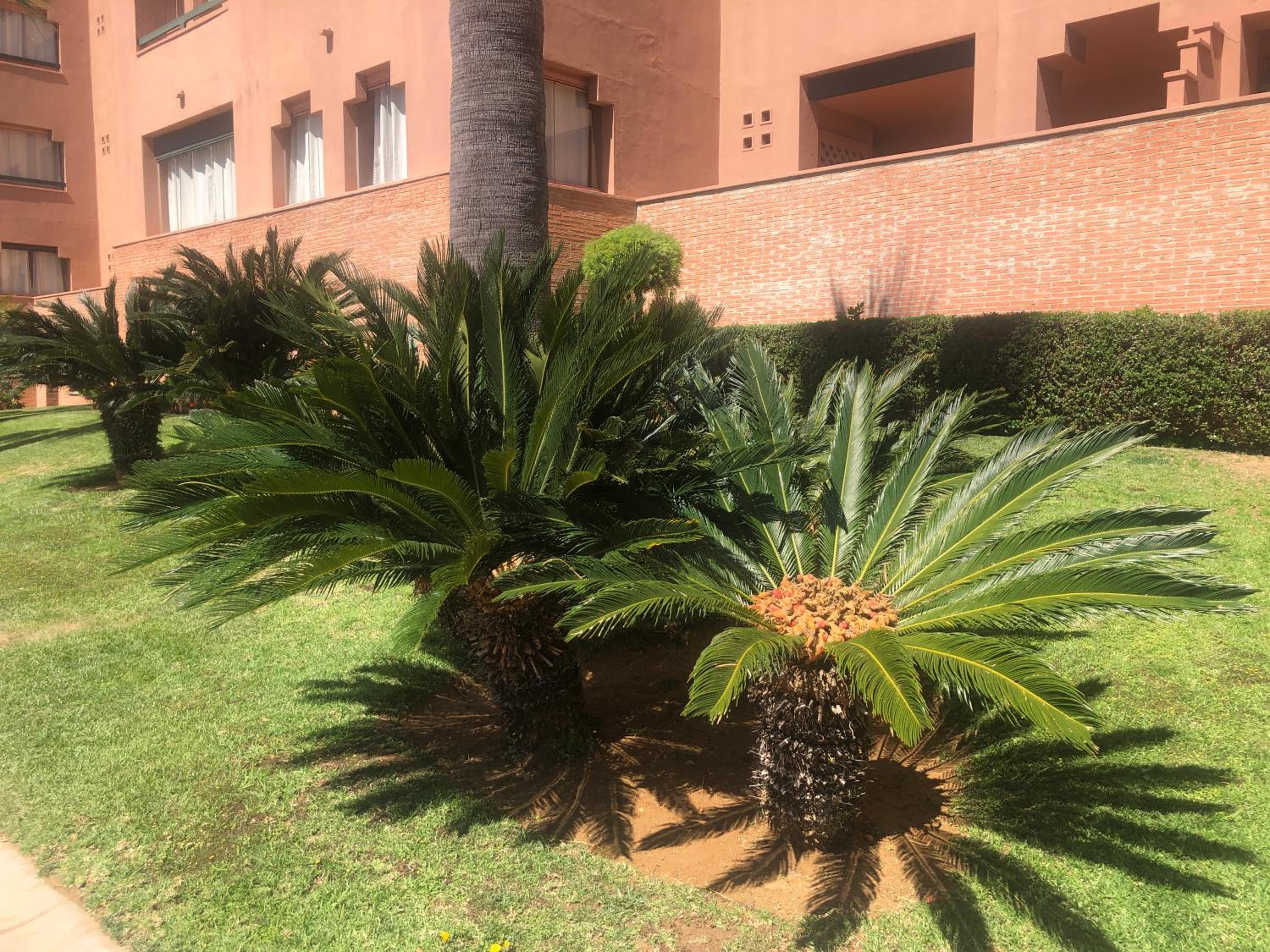 PLAYA VERDE LUXURY