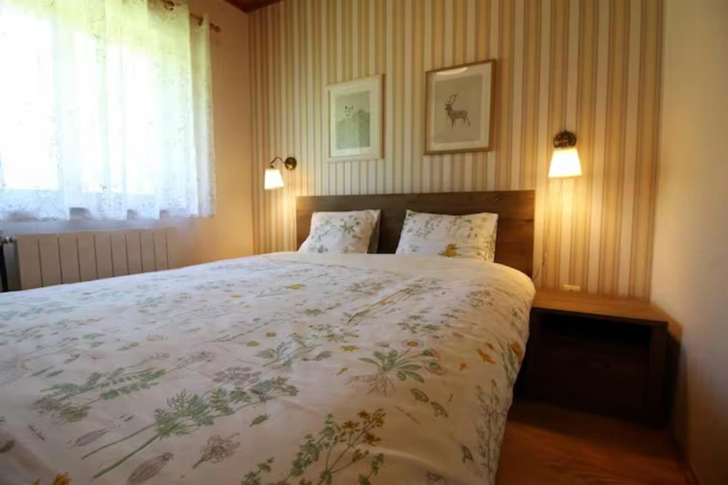 Vacation house Polane