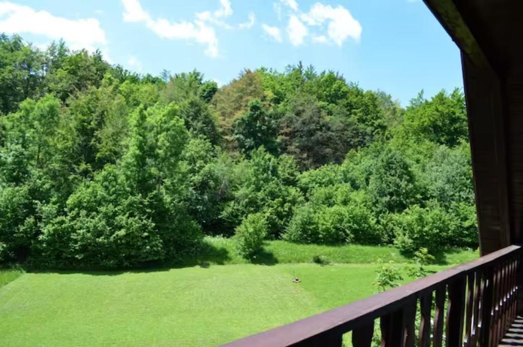 Vacation house Polane