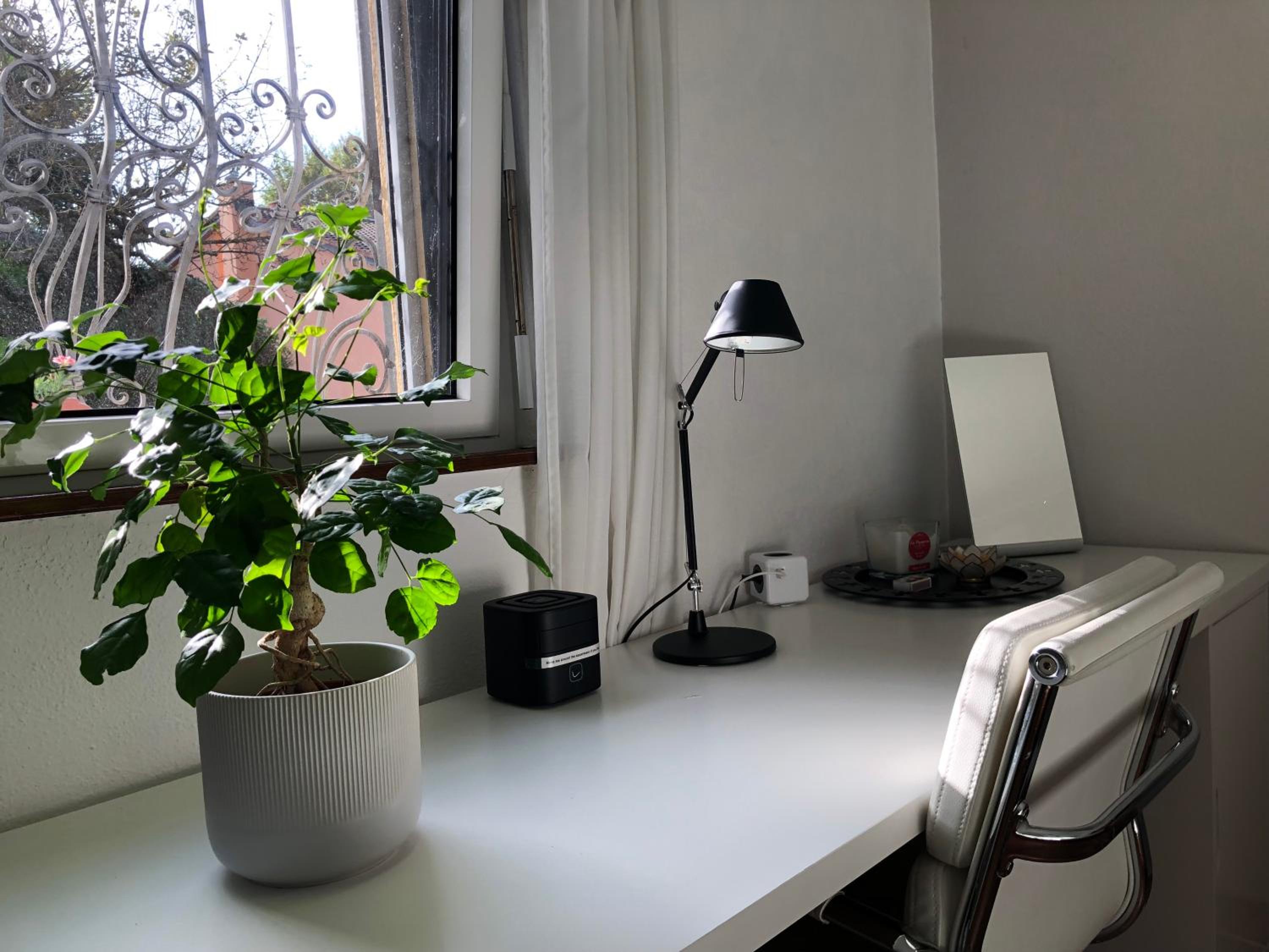The Comfy Apartment